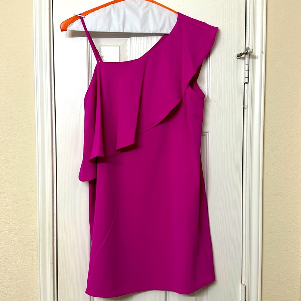 Fuscia Dress - image 1